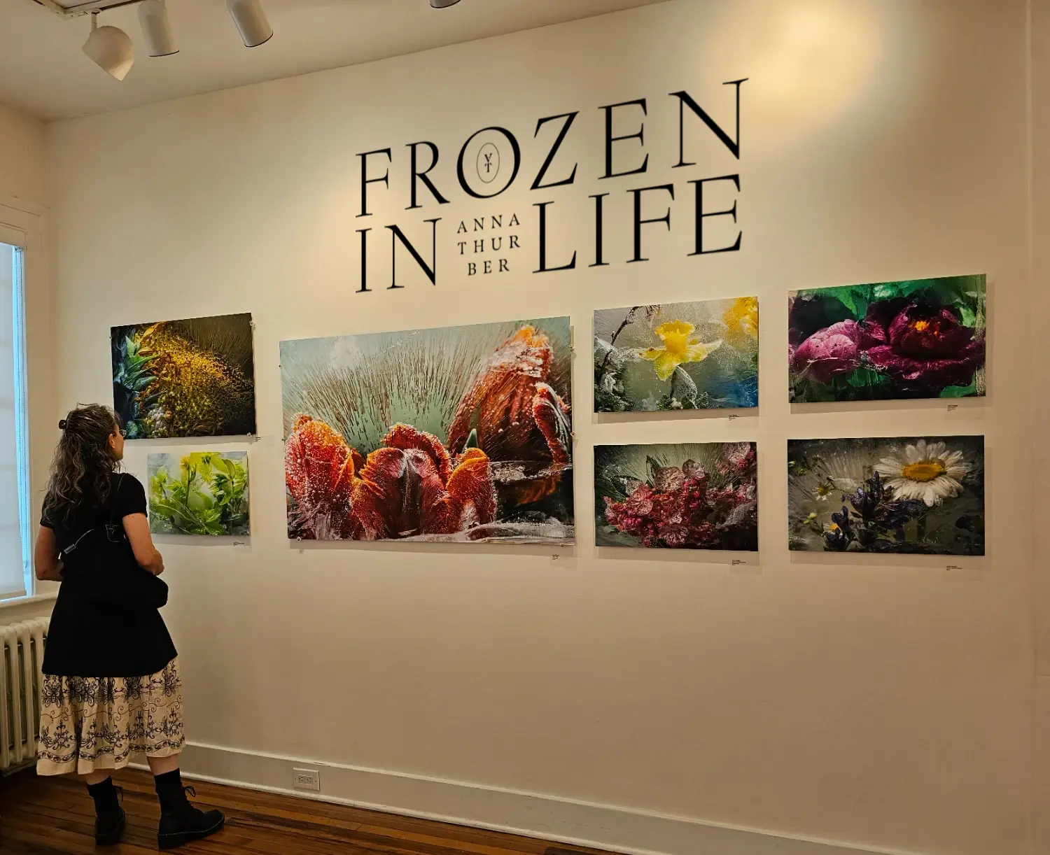 Spencertown Academy Arts Center "Nurturing Nature"
