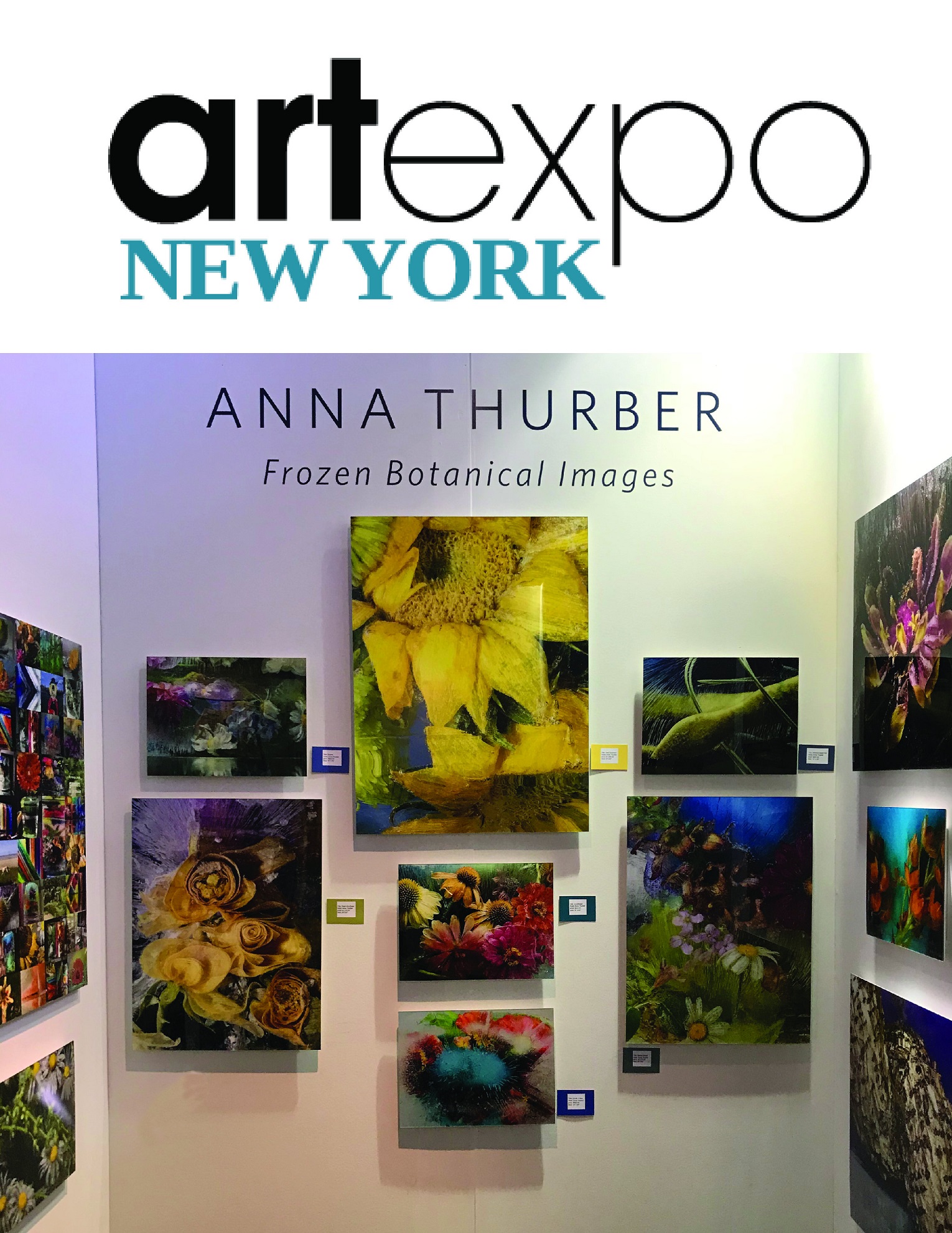 ART EXPO NEW YORK / Redwood Media Group