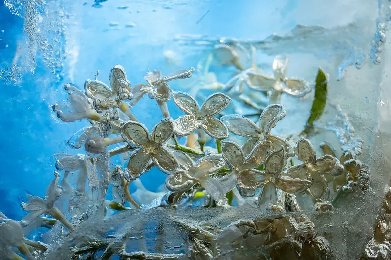 Encapsulated