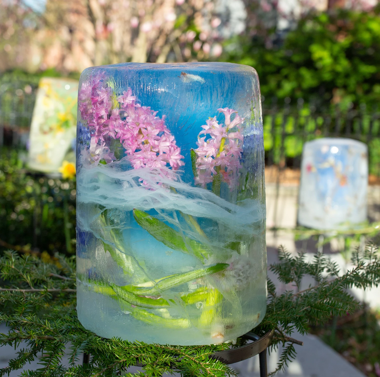 Botanicals In Ice at the Learning Project