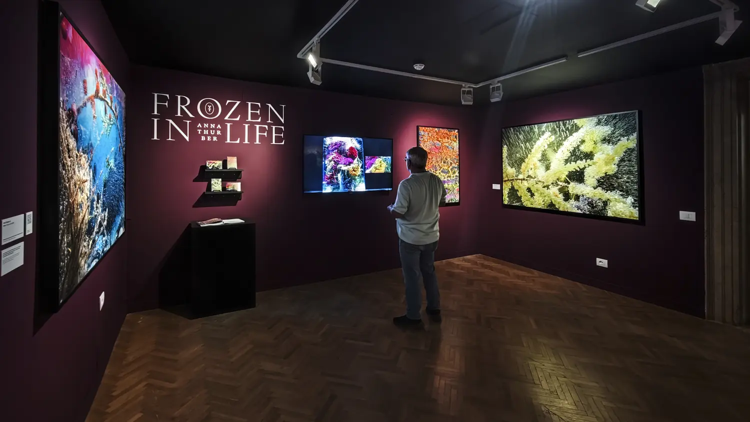 8th edition of the ECC Art Biennial Exhibition