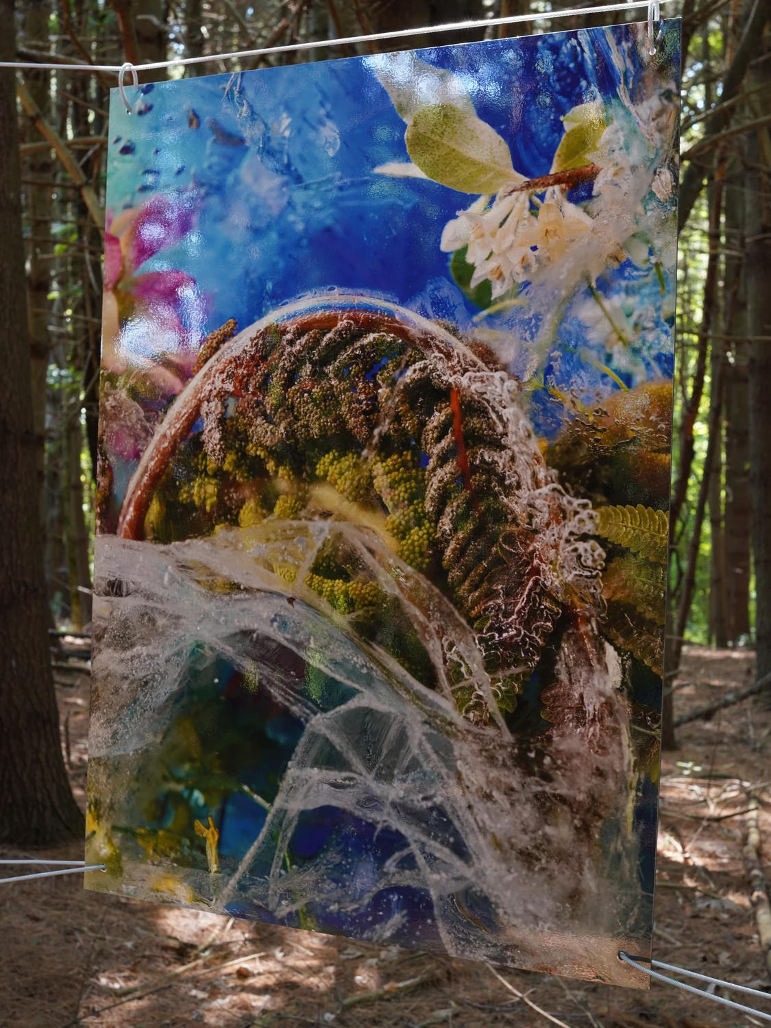 Art on the Trails
